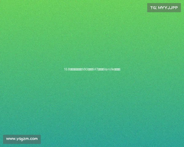 16.8万售价,大通新途V90房车,9AT自动挡,Vanlife实木内装